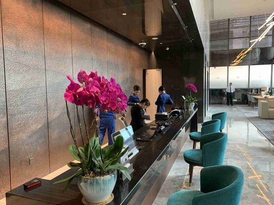 Мебель ASCOTT твердая деревянная установила наборы живущей комнаты для ODM квартир